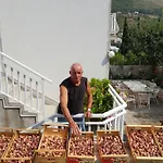 Pina - A Away From Zvekovica