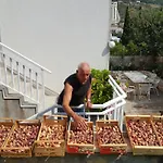 Pensionat Pina