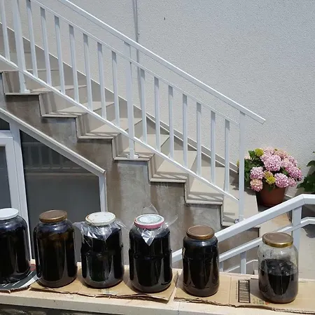 Casa de hóspedes Pina 4*