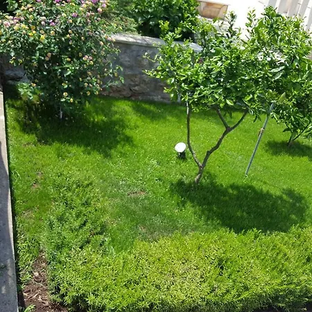 Casa de hóspedes Pina