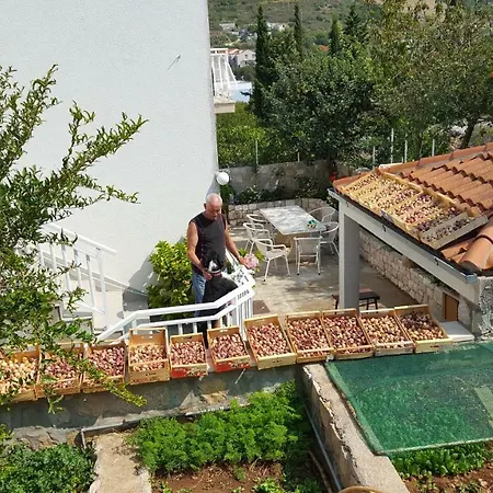 Guest house Pina
