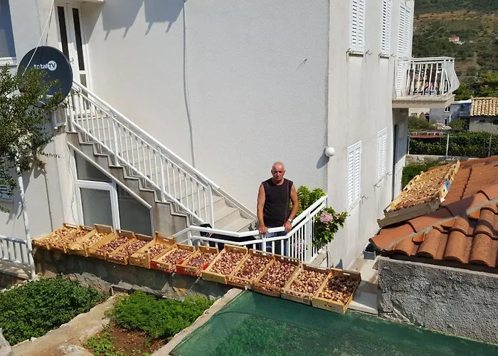 Pina Gasthuis 4*