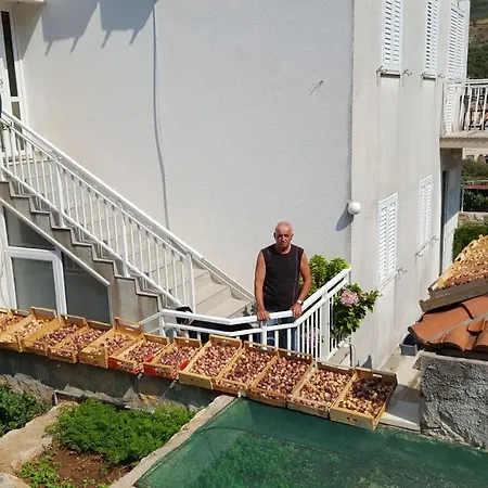 Pina Pensionat 4*